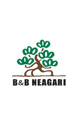 B&B NEAGARI